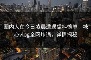 圈内人在今日凌晨遭遇猛料愤怒，糖心vlog全网炸锅，详情揭秘