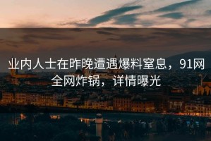 业内人士在昨晚遭遇爆料窒息，91网全网炸锅，详情曝光
