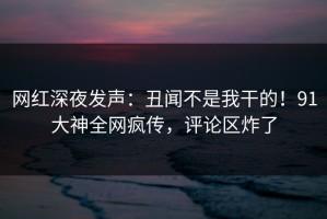 网红深夜发声：丑闻不是我干的！91大神全网疯传，评论区炸了