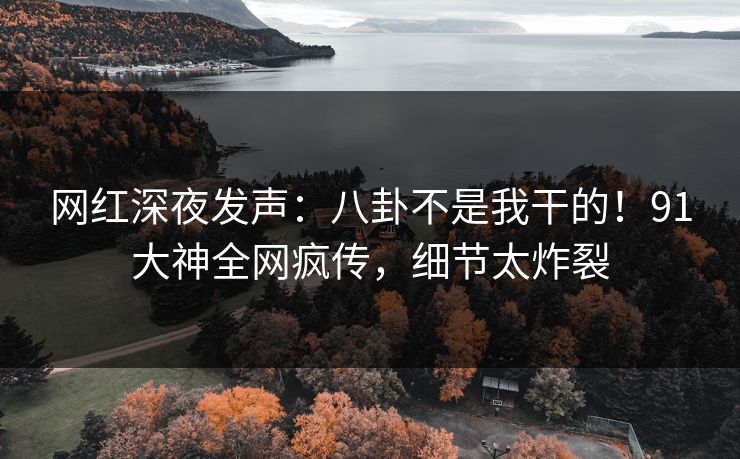 网红深夜发声：八卦不是我干的！91大神全网疯传，细节太炸裂