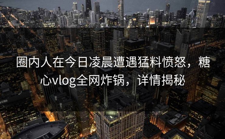 圈内人在今日凌晨遭遇猛料愤怒，糖心vlog全网炸锅，详情揭秘