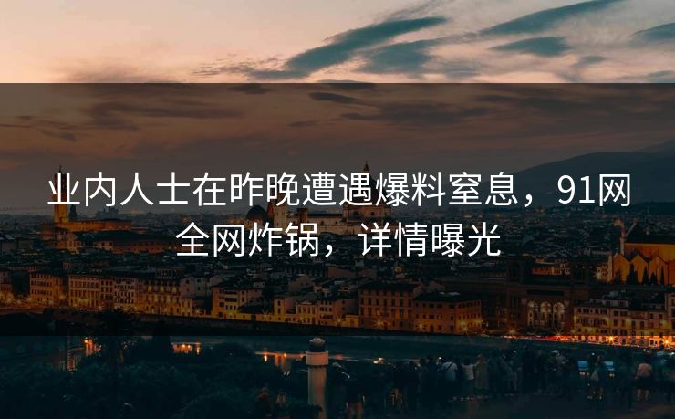 业内人士在昨晚遭遇爆料窒息，91网全网炸锅，详情曝光