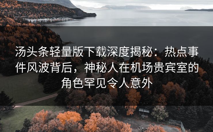 汤头条轻量版下载深度揭秘：热点事件风波背后，神秘人在机场贵宾室的角色罕见令人意外