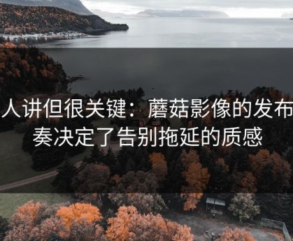 没人讲但很关键：蘑菇影像的发布节奏决定了告别拖延的质感