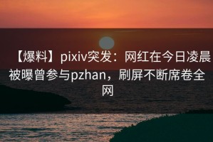 【爆料】pixiv突发：网红在今日凌晨被曝曾参与pzhan，刷屏不断席卷全网