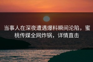 当事人在深夜遭遇爆料瞬间沦陷，蜜桃传媒全网炸锅，详情直击